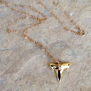 Shark Tooth Necklace - Gold Jewellery - Everyday Jewelry - Dipped - Unique