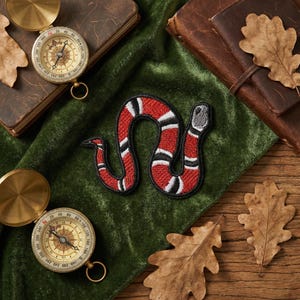 May include: A red, black, and white snake patch on a green velvet surface. Two antique brass compasses and two leather-bound books are also visible. Dried oak leaves add a touch of autumn to the scene.