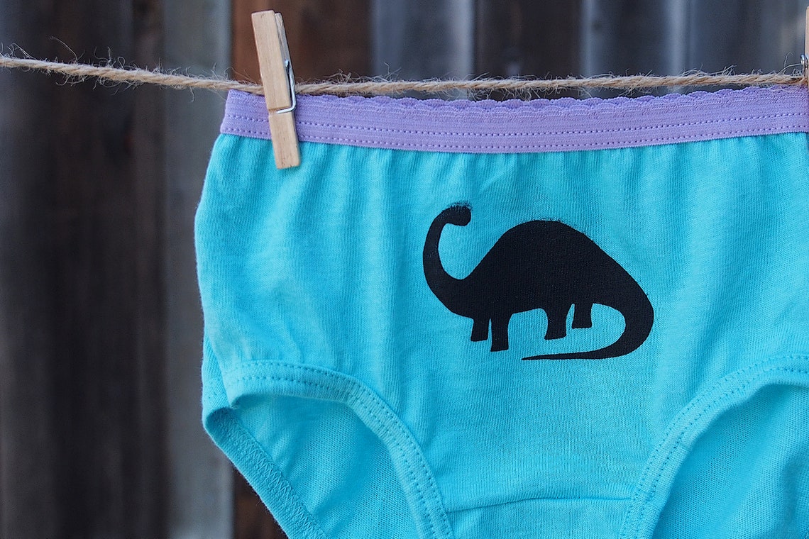 Girls Dinosaur Underwear Kids Undies Toddler Dino Etsy