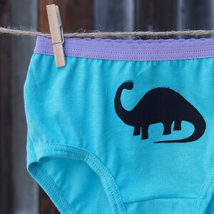 Girls Dinosaur Underwear - Kids Undies - Toddler - Dino Underwear - T ...