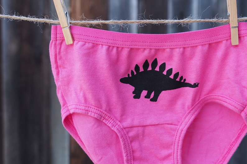 Girls Dinosaur Underwear - Kids Undies - Toddler - Dino Underwear - T ...