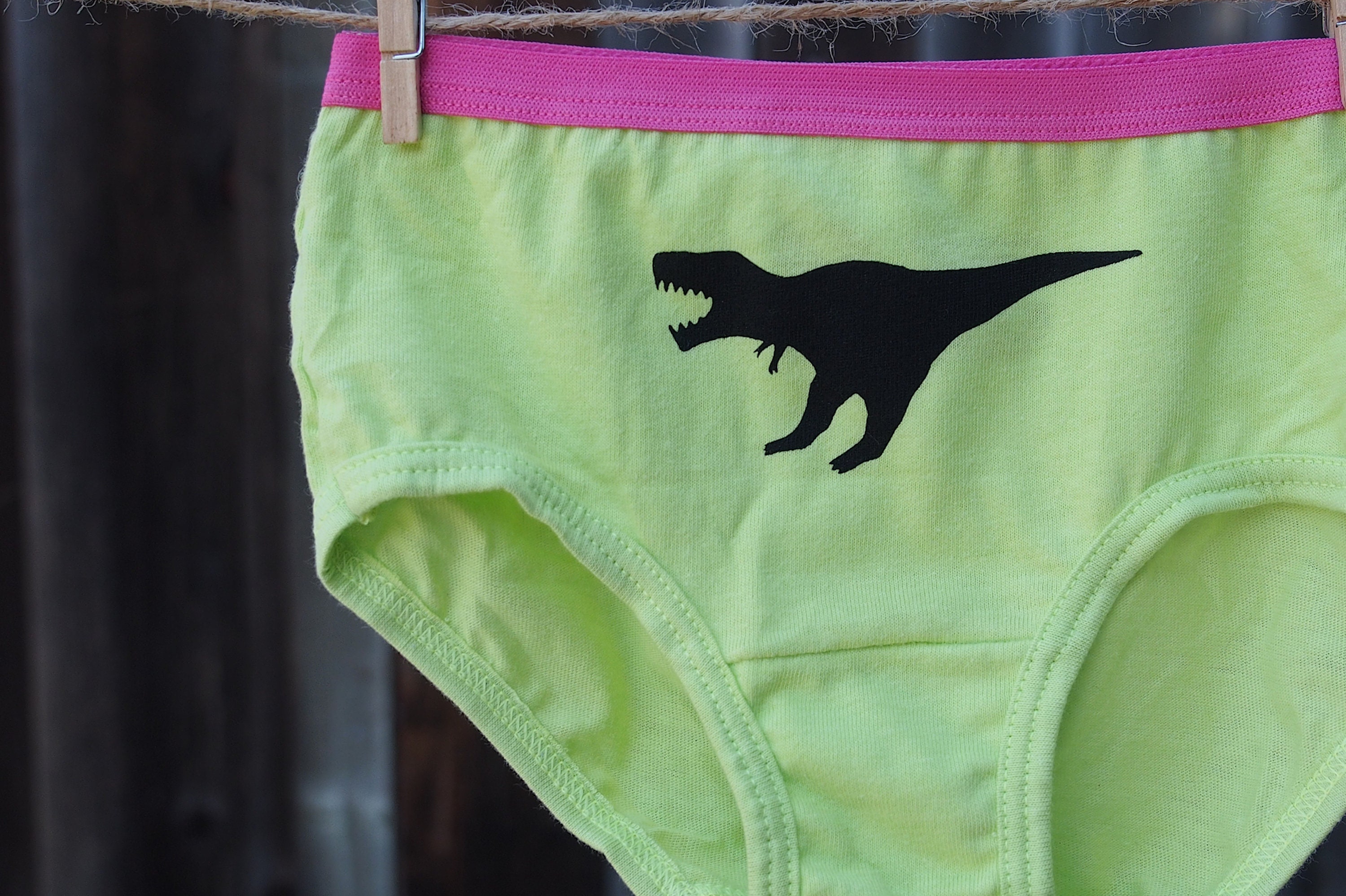 3 Pack Assorted Sparkly Dinosaur Panties girls Size 4 and 6 Hand