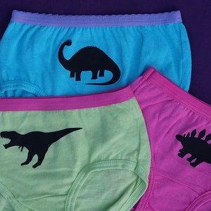Girls Dinosaur Underwear - Kids Undies - Toddler - Dino Underwear - T ...