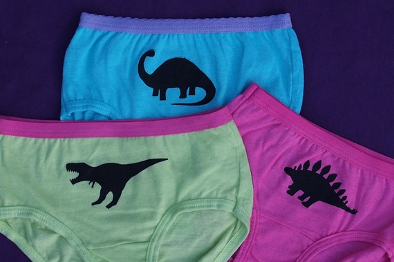 Girls Dinosaur Underwear Kids Undies Toddler Dino Underwear T-rex  Apatosaurus Stegosaurus Underwear for Kids Set of 3 