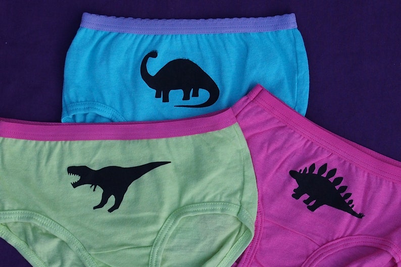 Girls Dinosaur Underwear Kids Undies Toddler Dino Underwear Trex