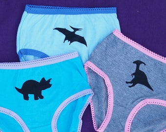 Girls Dinosaur Underwear - Triceratops - Parasaurolophus - Pterodactyl - Kids Undies - Toddler - Science Underwear - Set of 3