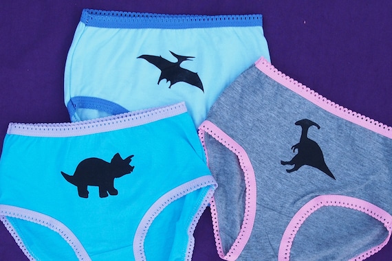 Girls Dinosaur Underwear Triceratops Parasaurolophus Pterodactyl Kids  Undies Toddler Science Underwear Set of 3 