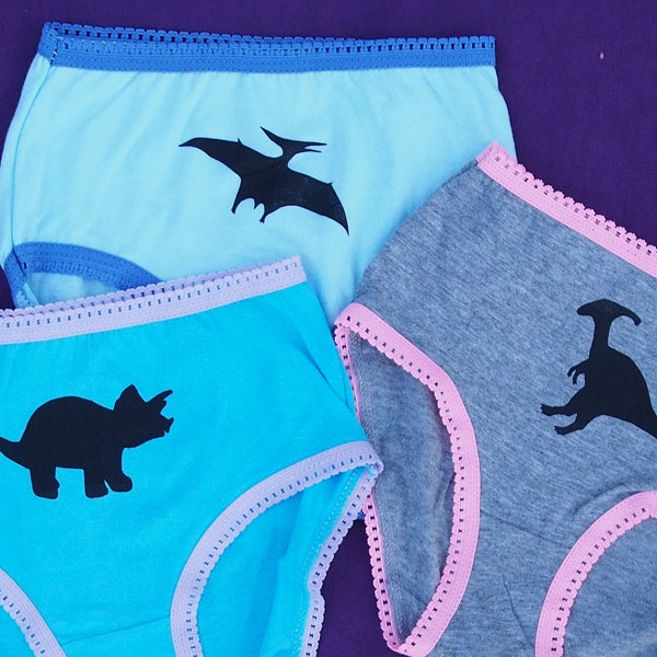 Girls Dinosaur Underwear - Triceratops - Parasaurolophus - Pterodactyl - Kids Undies - Toddler - Science Underwear - Set of 3