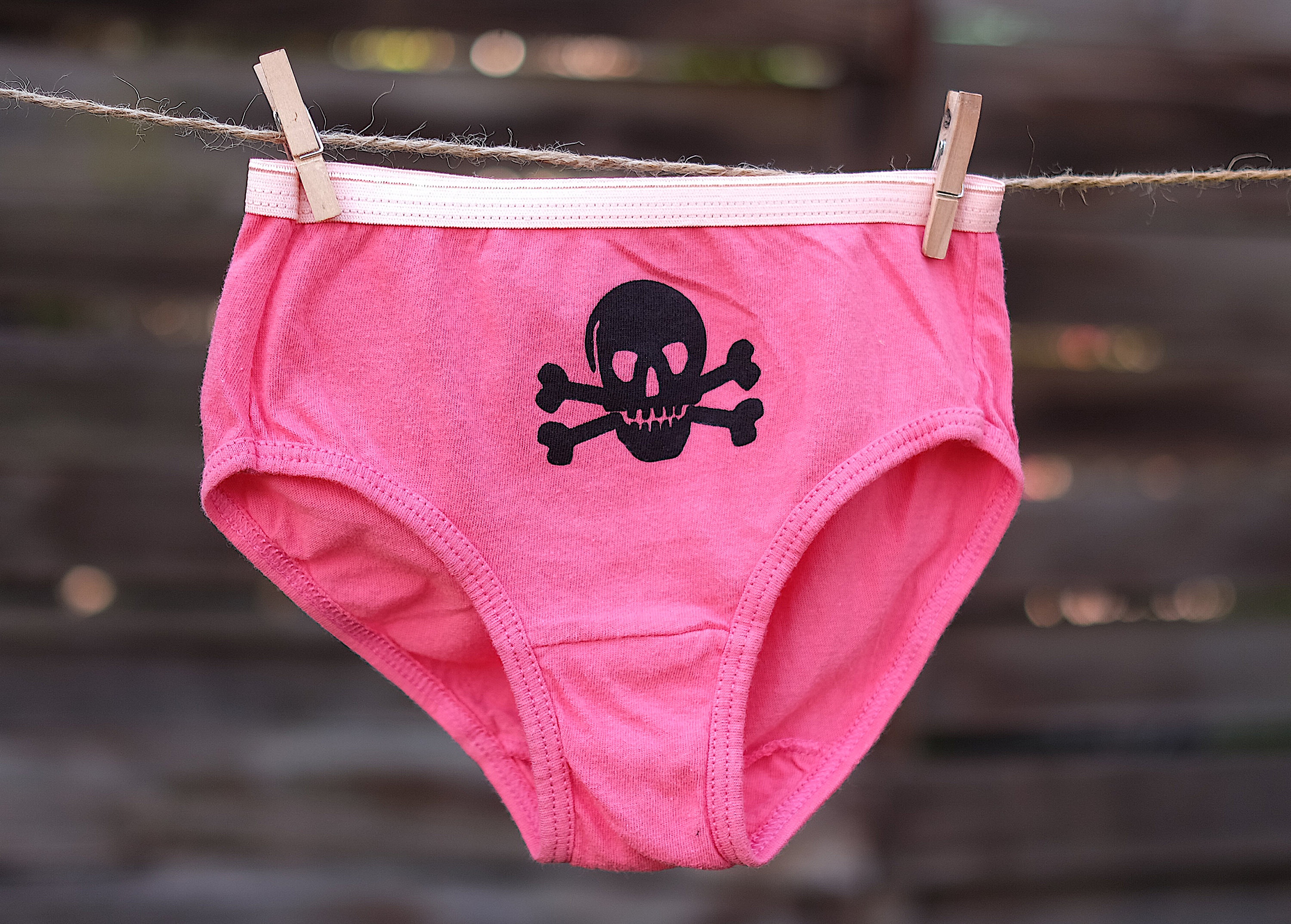 Girls Pirate Underwear Kid Undies Toddler Underwear for Kids Jolly