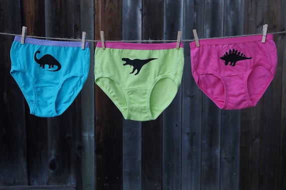 Girls Dinosaur Underwear Kids Undies Toddler Dino Underwear T-rex  Apatosaurus Stegosaurus Underwear for Kids Set of 3 