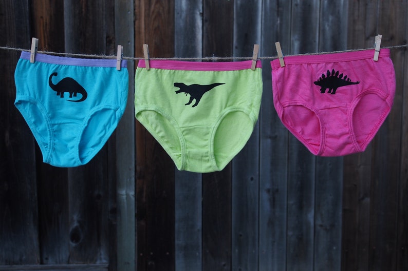 Girls Dinosaur Underwear Kids Undies Toddler Dino Etsy