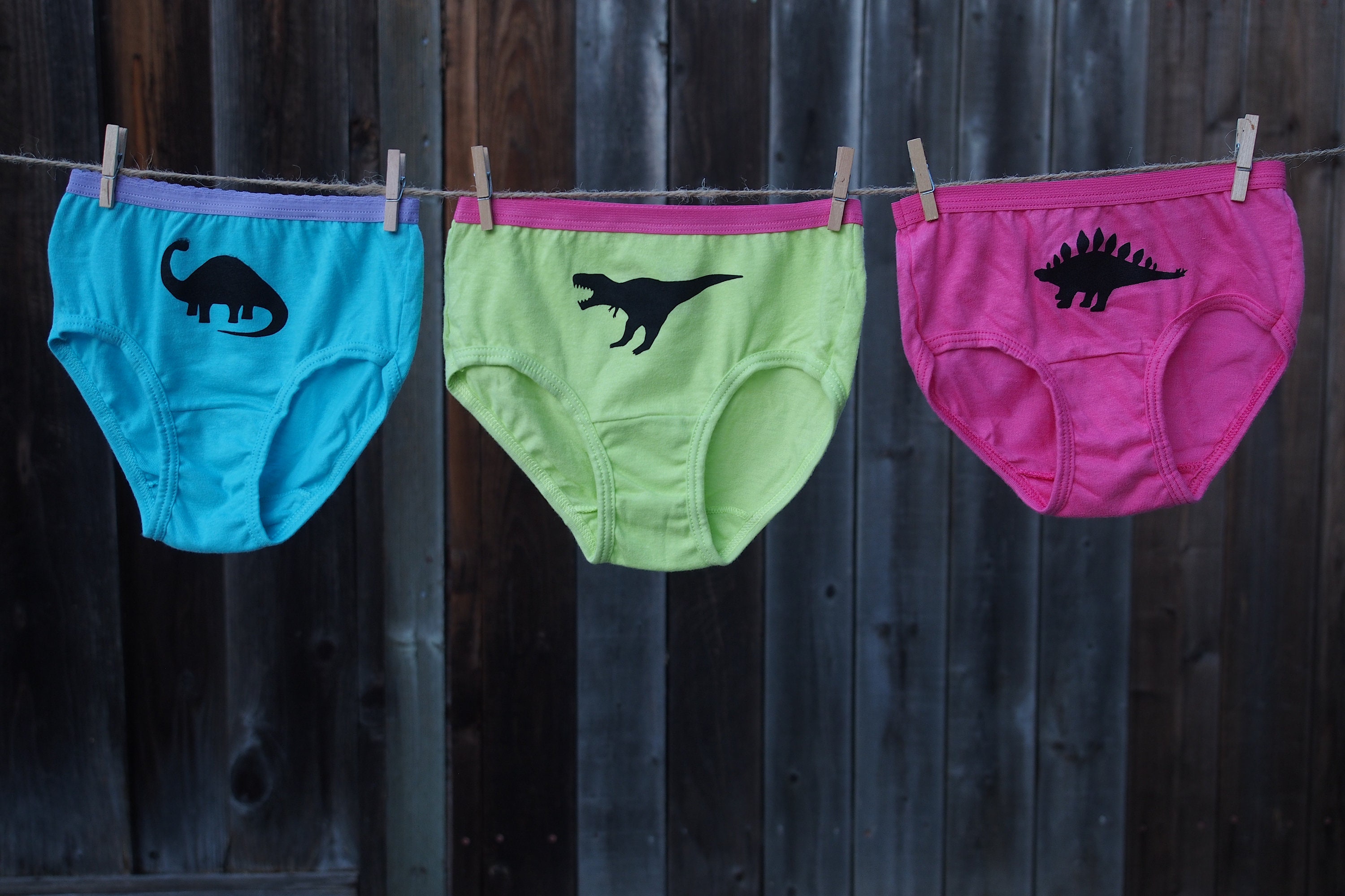 Girls Dinosaur Underwear Kids Undies Toddler Dino Underwear T-rex