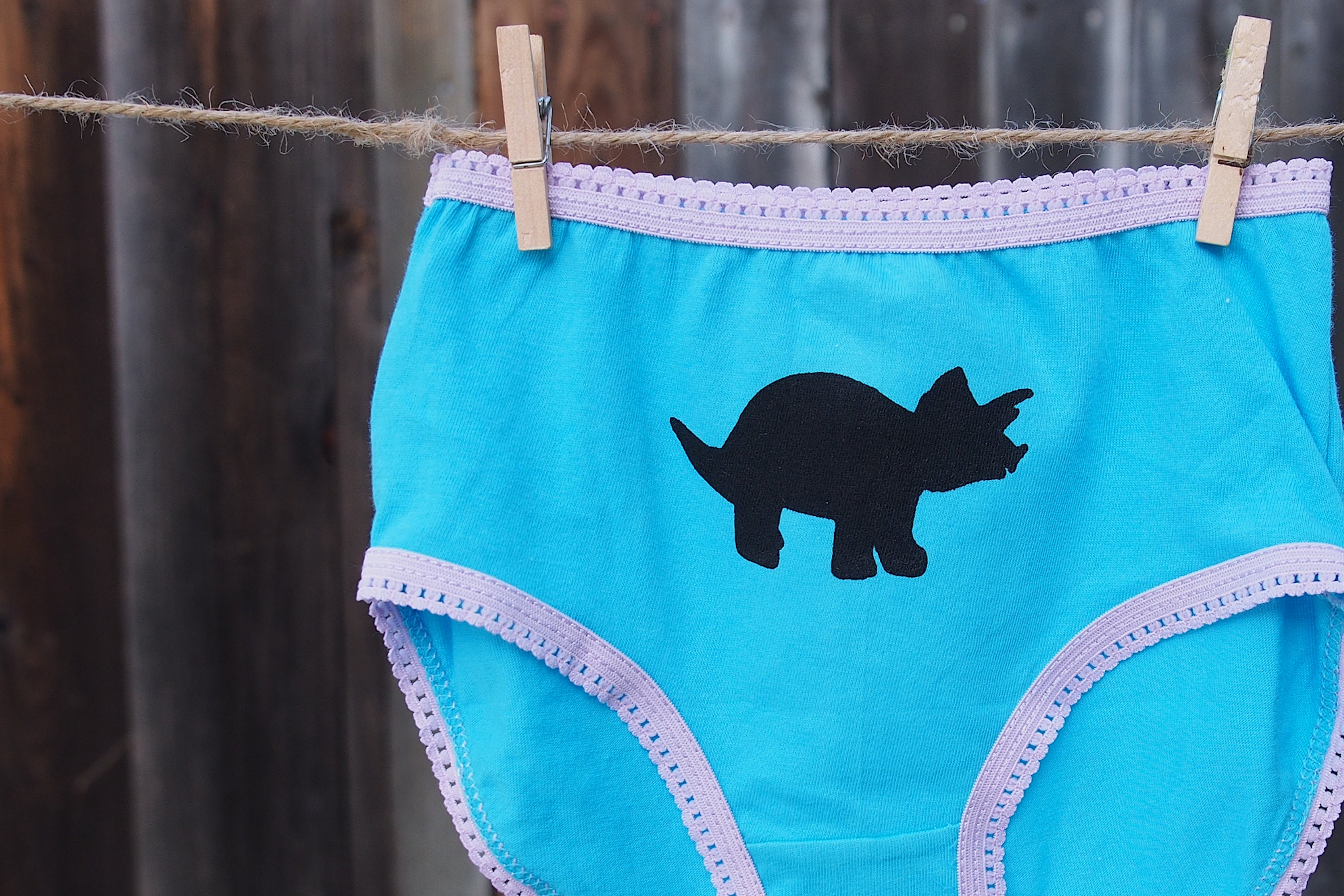Girls Dinosaur Underwear Triceratops Parasaurolophus Etsy