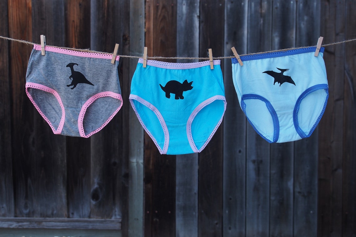 Girls Dinosaur Underwear Triceratops Parasaurolophus Etsy