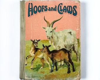 Antique children's book, Hoofs and Claws, Learning book, vintage educational book, vintage childrens book
