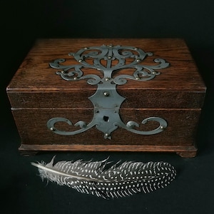 May include: A dark wooden box with ornate metalwork on the lid. The box has a rectangular shape and is made of dark brown wood. A decorative feather with black and white spots rests in front of the box.