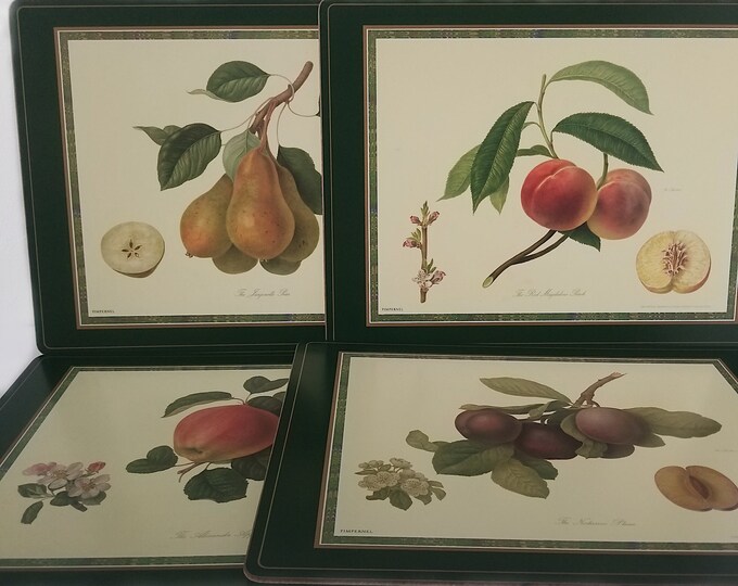 Botanical Pimpernel Cork Back Placemats, Fruit Botanical Illustrations