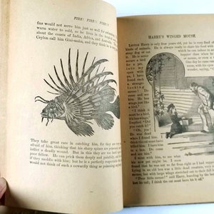 May include: An open book with black and white illustrations of a fish and a child with a winged mouse. The text on the page reads "Fire Fire Fish" and "Harry's Winged Mouse".