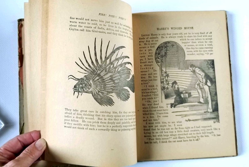 May include: An open book with black and white illustrations of a fish and a child with a winged mouse. The text on the page reads "Fire Fire Fish" and "Harry's Winged Mouse".
