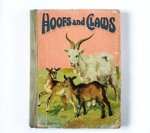 Antique children's book, Hoofs and Claws, Learning book, vintage educational book, vintage childrens book