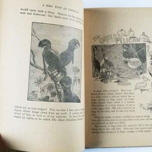 May include: An open book with two pages showing illustrations of birds. The left page shows a black bird with a large umbrella. The right page shows a pelican with a large pouch under its beak. The text on the right page reads "The Greedy Pelican".