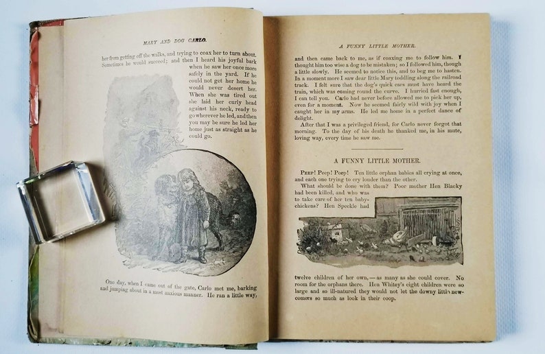 May include: An open book with illustrations of a girl and a dog. The text on the page reads "Maat and Dog Carlo" and "A Funny Little Mother".