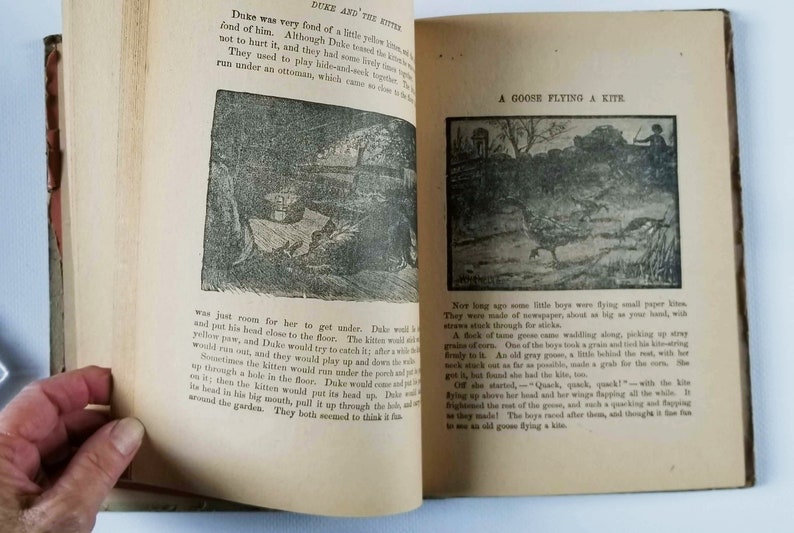 May include: An open book with black and white illustrations. The book is titled "Duke and His Kitten" and "A Goose Flying a Kite". The text describes a kitten playing hide-and-seek with a dog named Duke.