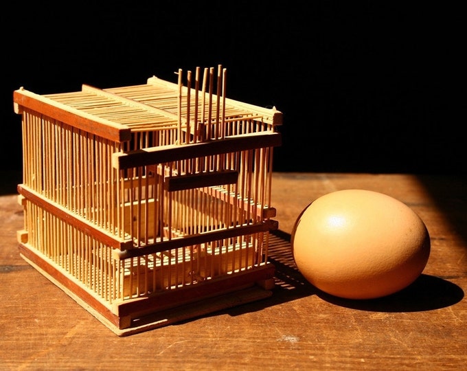 Wooden Cricket Cage Etsy