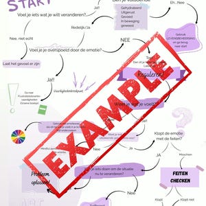 May include: An educational flowchart titled EMOTIEREGULATIE FLOWCHART with a large red diagonal EXAMPLE watermark. The diagram uses text boxes, arrows, and icons to guide through emotional regulation steps, including a colour wheel and ABC list.