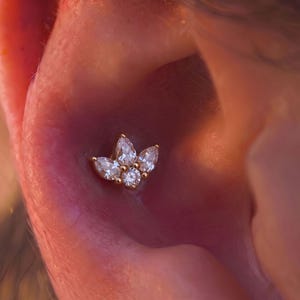 ASTM F136 titanörhänge med markisblomma och brosk, helixpiercing med CZ-blommor, örhänge med glittrande kristaller, 16G 18G titan i implantatkvalitet