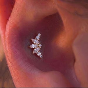 May include: A gold-toned ear piercing stud featuring a curved arrangement of clear, marquise-cut and round-cut stones. The jewellery is positioned within the conch area of the ear, showcasing a symmetrical, fan-like design with multiple faceted gems.