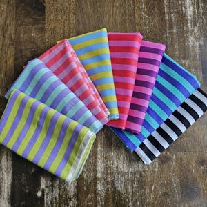 Conjunto de cuartos gordos con rayas All Stars de Tula Pink