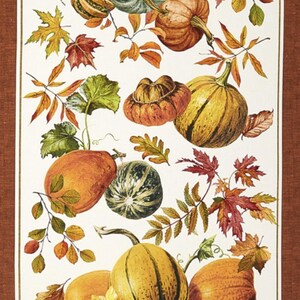 May include: A white background with a variety of pumpkins and gourds in shades of orange, green, and brown. The pumpkins are surrounded by fall leaves in shades of red, orange, and yellow.