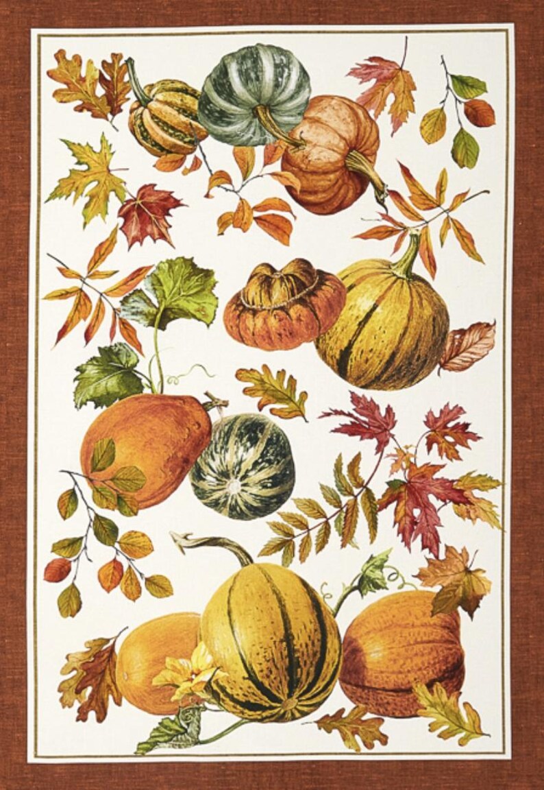May include: A white background with a variety of pumpkins and gourds in shades of orange, green, and brown. The pumpkins are surrounded by fall leaves in shades of red, orange, and yellow.