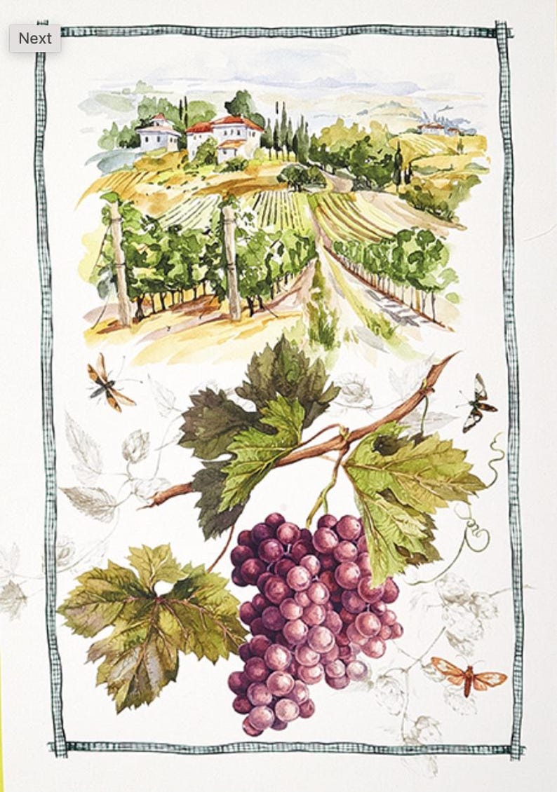 May include: Watercolor painting of a vineyard landscape with a cluster of purple grapes and green leaves in the foreground. The vineyard is in the background with a small village and rolling hills.