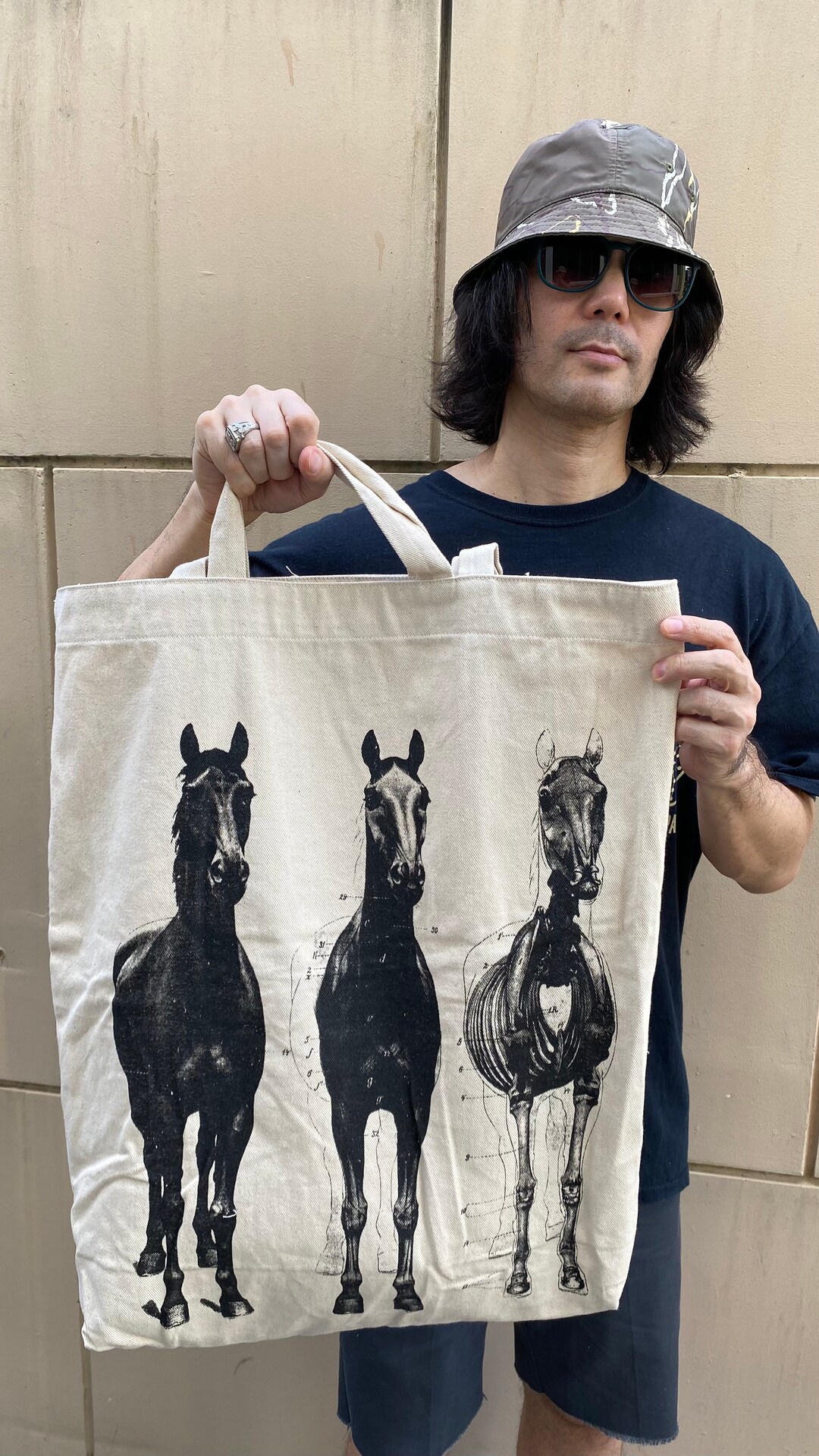Wild Horses Anatomy Mustang Colt Pattern Graphic Design Print, Jumbo ...