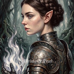 May include: An elf with braided dark hair and pointed ears wearing ornate metal plate armour with floral engravings. The figure holds a glowing white flame in a gauntleted hand. The text Grimoire Pixel is visible on the chest plate.
