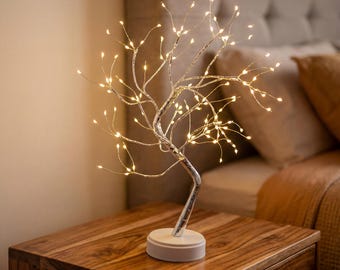 zwerg stechpalme Zwerg-Stechpalme - Ilex crenata Stokes