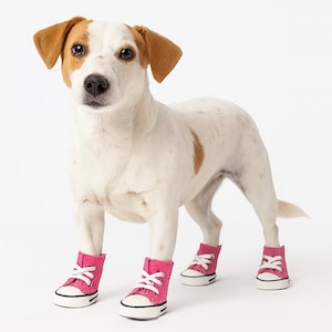 Canvas hondenschoenen voor kleine honden en katten | Antislip sneakers voor huisdieren | Laarzen ter bescherming van de poten