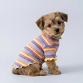Pastel Striped Dog Shirt | Soft Cotton Pet T Shirt | Small Dog Puppy Clothes | Pet Summer Outfit | Lightweight Cat & Dog Apparel product logo
