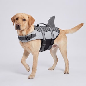 May include: A yellow Labrador Retriever wearing a gray and black dog life vest with a shark fin on its back. The vest has reflective accents and adjustable straps. The dog is walking forward on a white background.