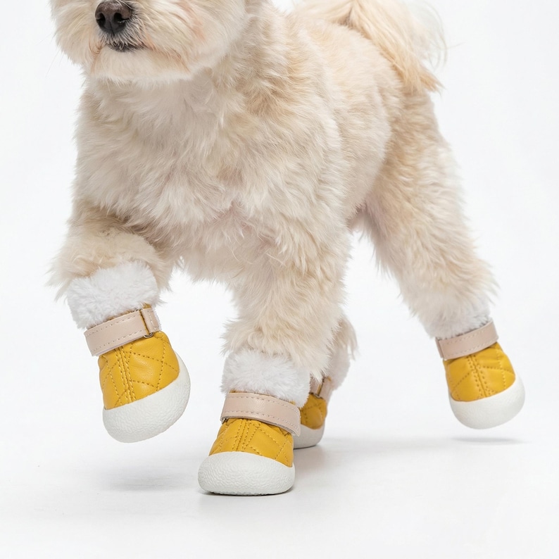 Op de afbeelding: Een kleine hond draagt vier gele hondenlaarzen met witte zolen en beige bandjes. De laarzen hebben een gewatteerd patroon en een zachte, witte voering. De hond loopt op een witte ondergrond.