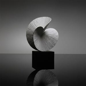 May include: A textured, abstract sculpture in shades of grey, resembling a spiral or nautilus shell. The sculpture sits atop a black cube, with a reflective surface below. The artwork is a modern, minimalist design.