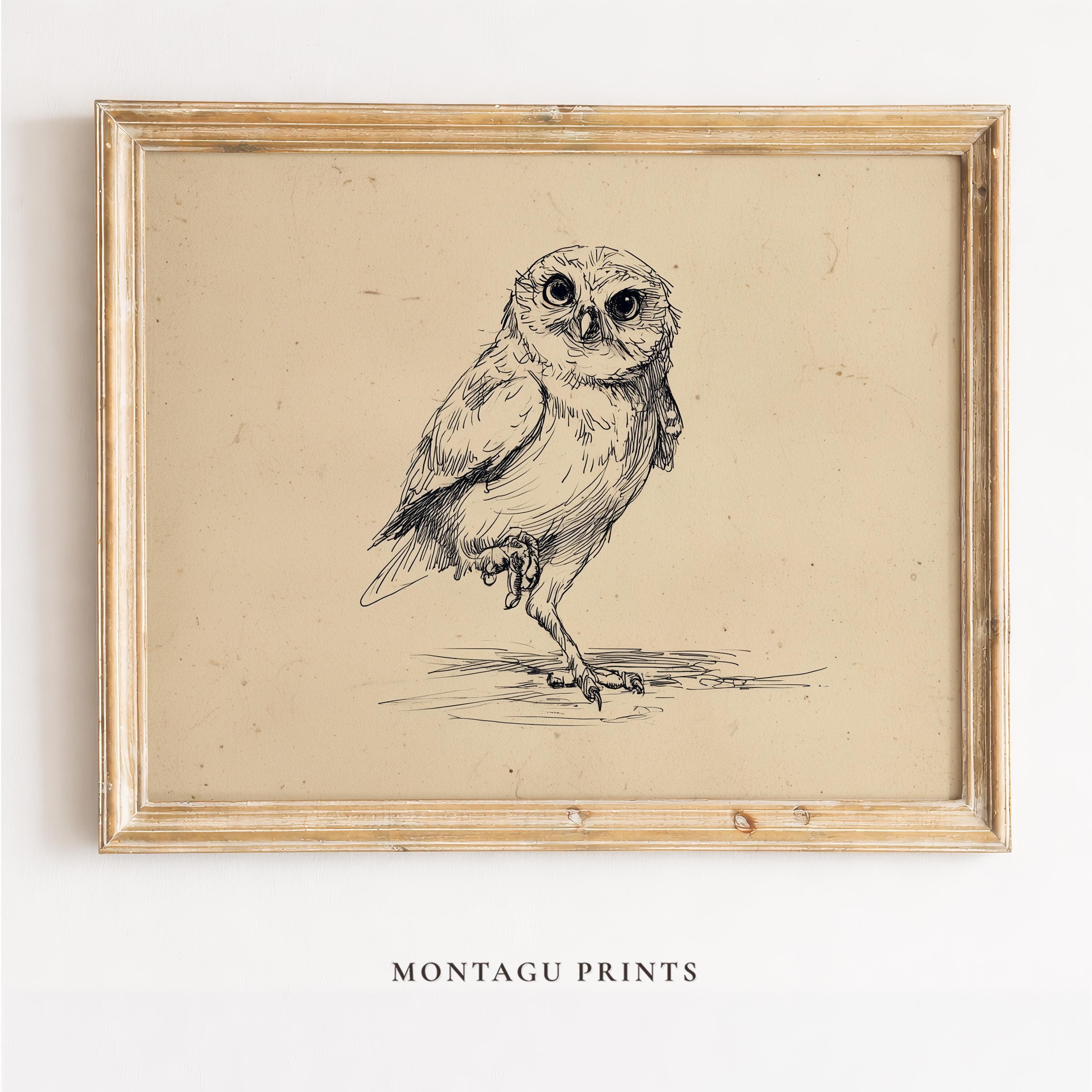 Minimalist Owl Sketchy Ink Art - Vintage Style Pen and Ink Drawing, Cute Rustic Farmhouse Decor, Pri
