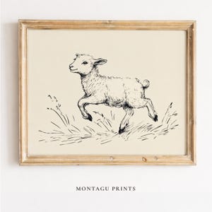 May include: A framed print featuring a black and white illustration of a lamb leaping through grass. The artwork has a vintage aesthetic, with a cream-colored background and a wooden frame. The text "MONTAGU PRINTS" is at the bottom.