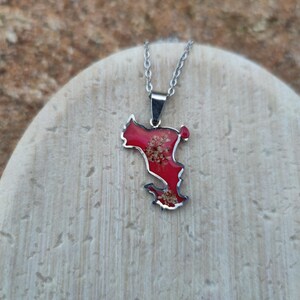 Può includere: Una collana color argento con un ciondolo rosso a forma di mappa. Il ciondolo ha un bordo argentato ed è riempito di fiori secchi. La collana è esposta su una superficie chiara e strutturata.