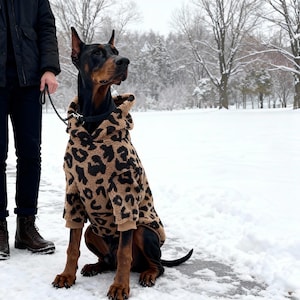 Può includere: Un cane Doberman Pinscher con una felpa con cappuccio con stampa leopardata marrone e nera, seduto sulla neve. Il cane è al guinzaglio e guarda di lato. Lo sfondo è un parco innevato con alberi.