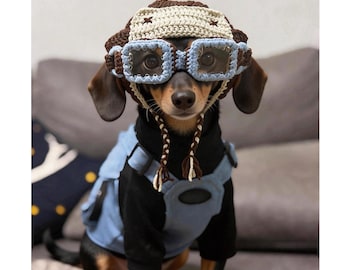 Hand-knitted Dog Aviator Hat With Goggles – Pet Pilot Costume for