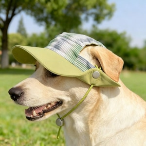 May include: A light-colored dog wearing a green and striped sun hat. The hat has a green brim and a striped top in shades of green, blue, and white. A green cord with a button secures the hat under the dog's chin. The dog is outdoors on a sunny day.