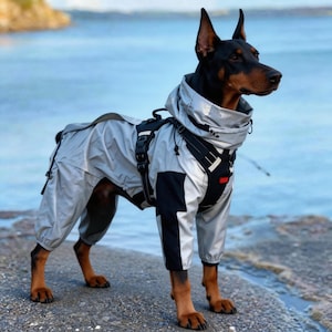 以下が含まれることがあります： フード付きのシルバーと黒の防水犬用スーツを着たドーベルマンピンシャー犬。犬は水辺の近くの石の表面に立っています。犬用スーツにはハーネスが付いており、犬の足を覆っています。
